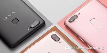 为什么网上的vivo x20和苹果8价格比实体店便宜还有赠品 