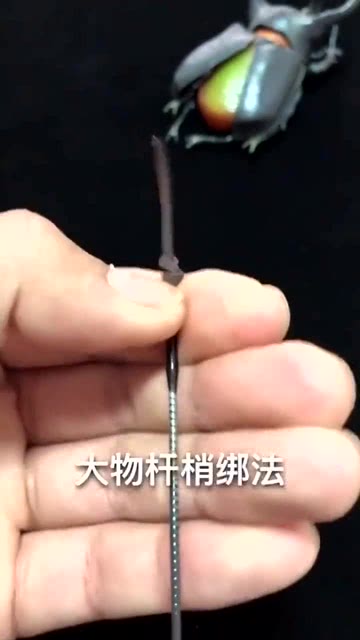 磨牙棒绑法教学