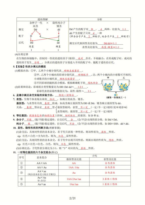 高一生物必修2知识点总结 