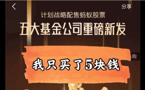 我们公司正准备上市、我听人说可以买股票，包赚、到底该怎么做？