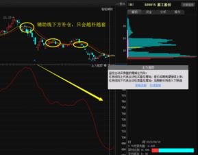 股票跌几十元，要补仓请教高手们怎样补仓法才好？