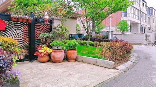 江苏农村别墅白菜价,15万买下一栋,养老好房,有花园种花 