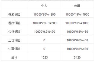 社保五险缴纳算法