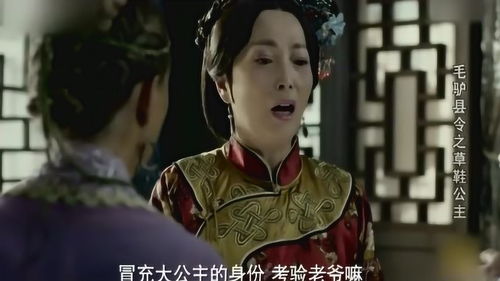 毛驴县令 麻翠姑告诉布阿布大人,自己不是真正的大公主 