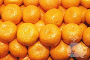 梦见好多橘子是什么意思
