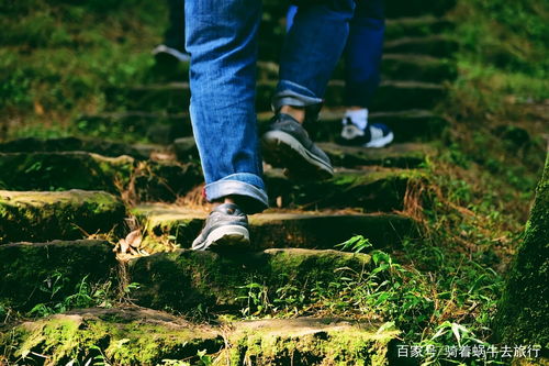 哪些人不建议登山的原因(有些人不能爬山)