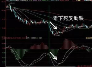 每日学堂 MACD买卖五绝技与实战图解