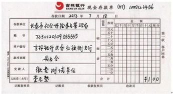 农村社保缴费必须要去农村银行吗 