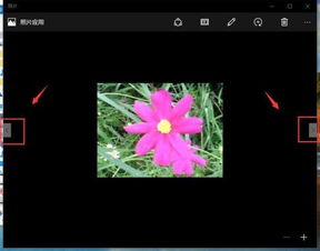 win10看图怎么下一页