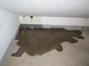 请专家帮我看看这个漏水是不是属于房屋质量问题 