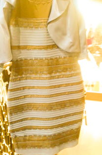 不管这裙子什么颜色 反正挺丑的就对了