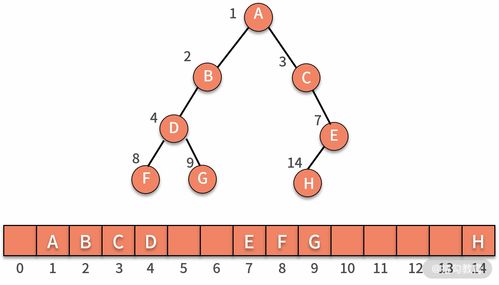 什么是二叉树结构(二叉树的链式存储结构)
