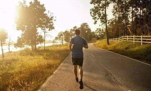 每天坚持晨跑的人,跑多少公里合适 建议把握好分寸