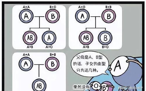 A型 B型 AB型 O型血,哪种血型身体好点 你是哪个血型