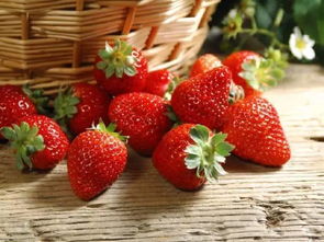 为你最爱的人 种上一颗小草莓 8月28 29 草莓恋人PINK PARTY