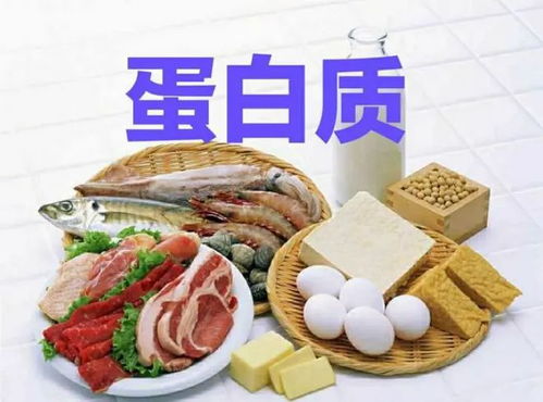 高蛋白食物？高蛋白食物有哪些