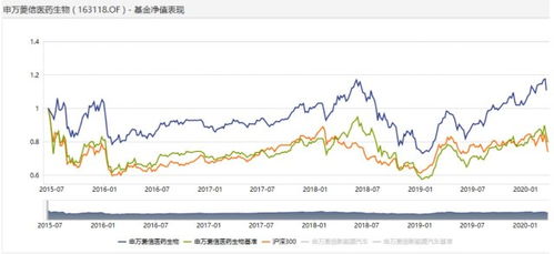 申万菱信医药分级丅a代号163118基金怎样