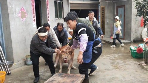 贵州农村老人过世sha猪招待客人 你们那里是这样的吗