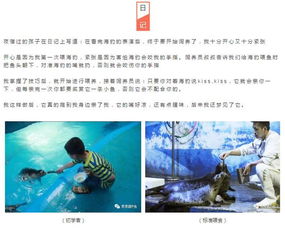 把帐篷搭在海底,换个地方做梦 