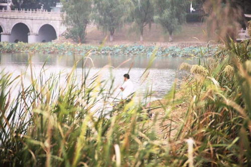 在花神湖,见证南京最硬核的玩家圈