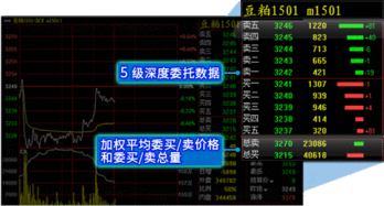 那些期货交易软件是五档行情