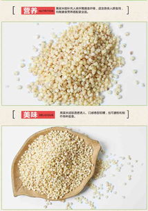 延安高粱米550g袋装