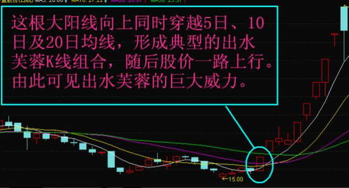 股票的生命线是什么？还有决策线，攻击线，操盘线