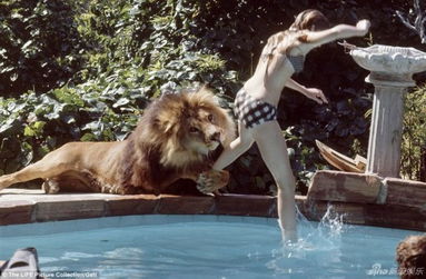 美国女明星养狮子当宠物 曝 疯狂 童年照 