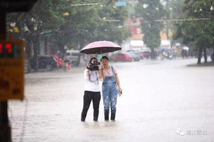 暴雨中,逆流而上的还有他们 