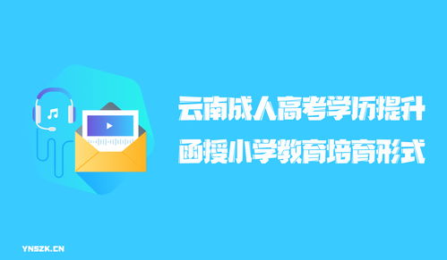 j成人高考小学教育和教育学专业(图2)