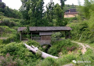 福建南平浦城古楼乡