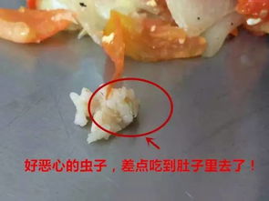 紫金 某学校 饭堂事件 再度升级,这次竟是饭菜里吃出虫子