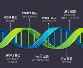 昨天进了一点达安基因，今天小赚了一把，怎样操作。