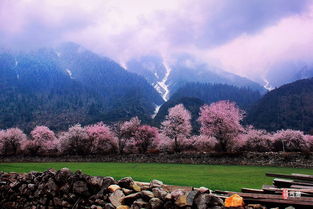 林芝八月份的景色(8月林芝美景)