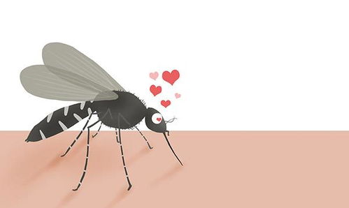 为啥有人特别容易招蚊子 O型血易招蚊子 专家给出答案