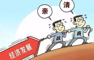 行政官司败诉后如何应对？