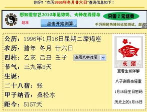 我的生日是农历1995年十一月二十六日,是什么星座 