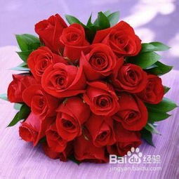 20朵红色玫瑰花的寓意 20朵玫瑰适合送什么人