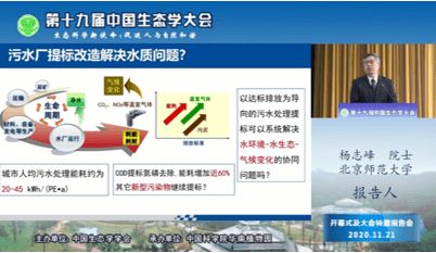 第十九届中国生态学大会特邀报告专辑报道