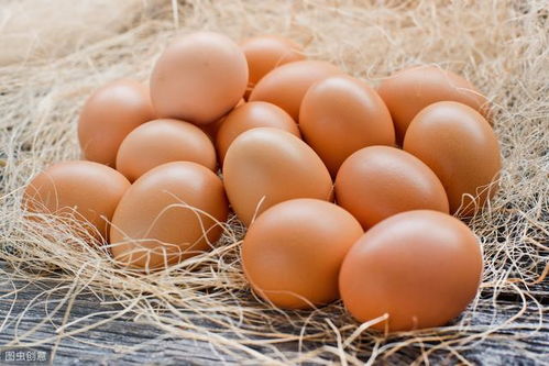 夏天买鸡蛋别随便拿,牢记这3点,一挑一个准,鸡蛋新鲜品质好