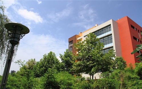 重庆合川区有哪些大学