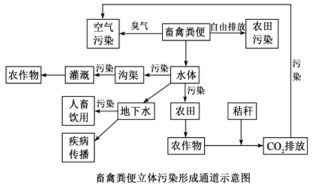 农村畜牧污染调研报告范文_畜禽粪尿对水体及土壤有哪些污染？