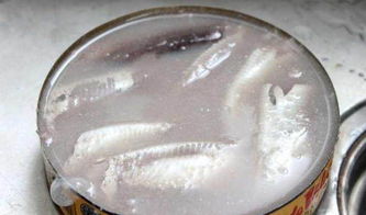 鲱鱼罐头到底有多臭为什么还会有那么多人喜欢吃呢