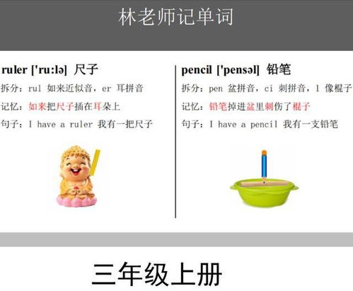 英语初中知识点英语学习培训右脑的功能 