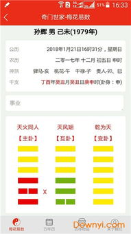 梅花易数排盘app下载 梅花易数排盘软件下载v3.0.1 安卓免费版 当易网 