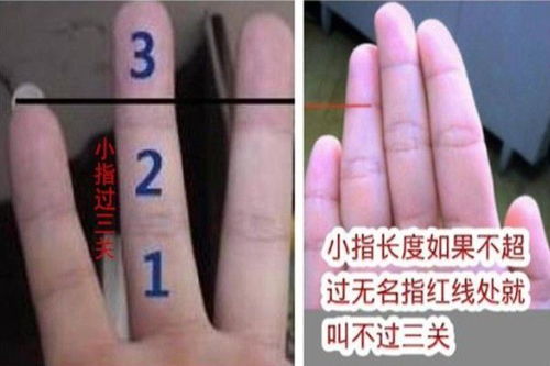 预示女人一生富贵不断,享受不尽荣华的4种手相,一生钱财无忧