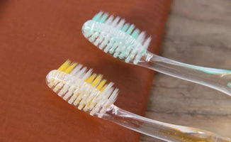 现代牙刷是一个中国皇帝发明的