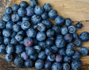 蓝莓一般几月份成熟上市 什么时候吃最好 多少钱一斤