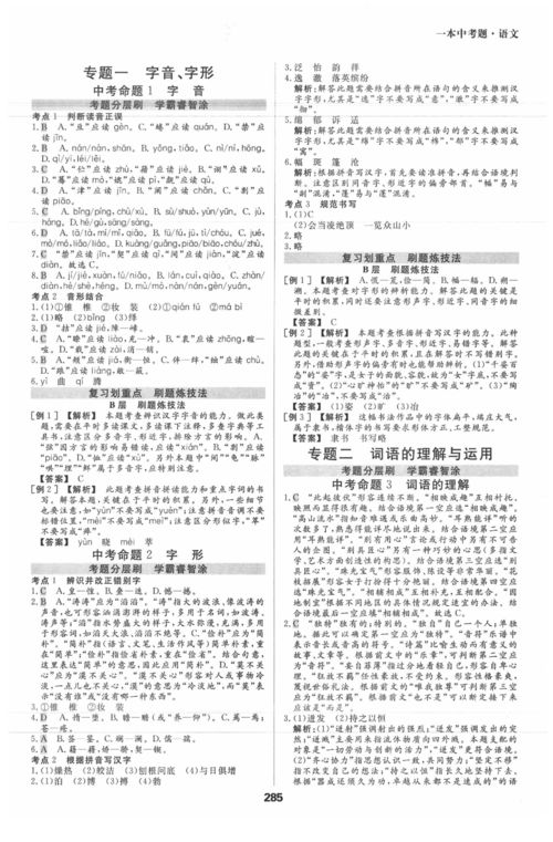 2020年一本中考题九年级语文学人教版答案