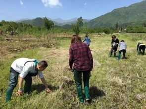 端午节华阳景区教您做一回山里人,诸多农耕文化邀您体验